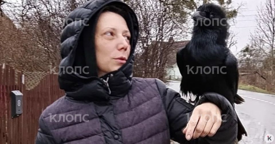 �������� ����� � ������� �������: ��� ������������� ��������� ������ ������ ����� �� ������ ������ (����, �����)