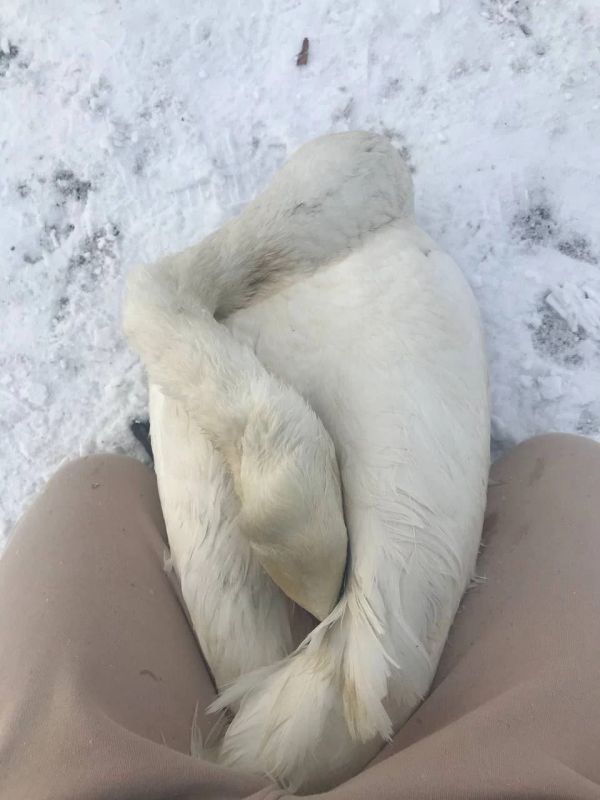 ��� ������ �������, ������� ������ � ��������������� �������: ������ ������������