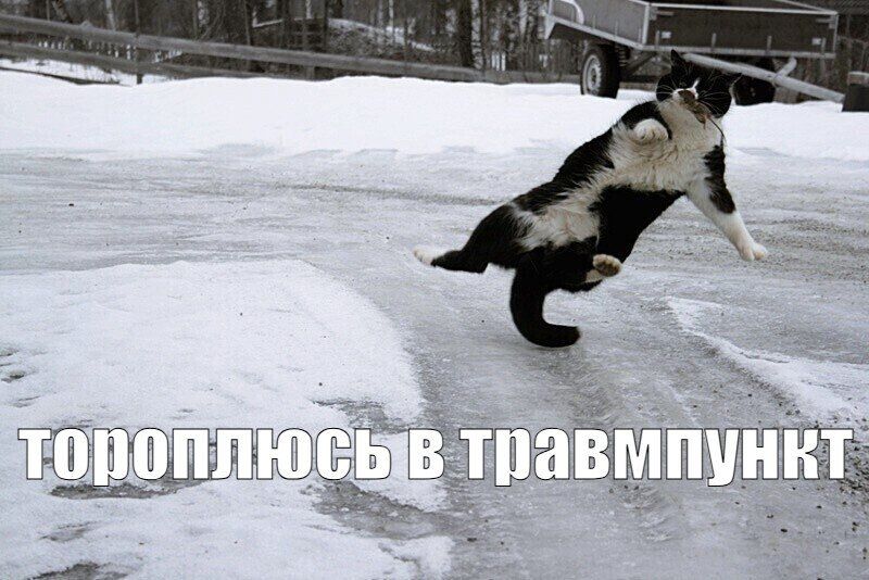 1137 ������� ������ ���������� ���� �� ����� �������