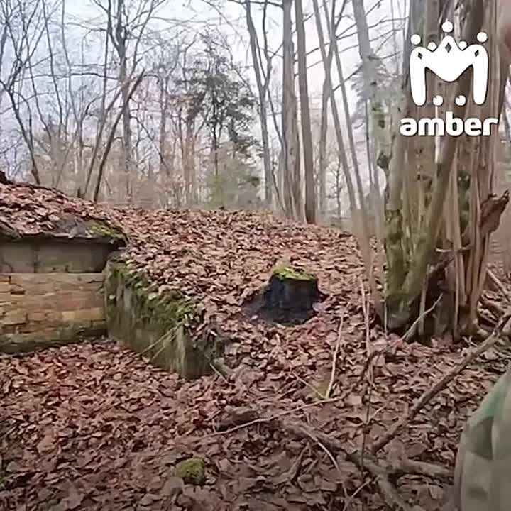 ������, ��� ������ �������� � �������������? � ��� � �� �������