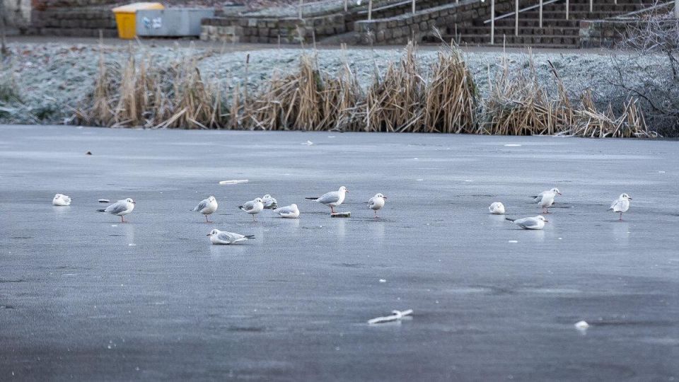 ������, ��� � �������������, � ����� �� �������: ��������������� �������� ��������� � ��������� ��-�� �������