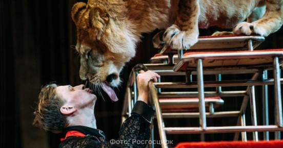 � ������������ ������������ ������� ������������� � ���� ������� �������������