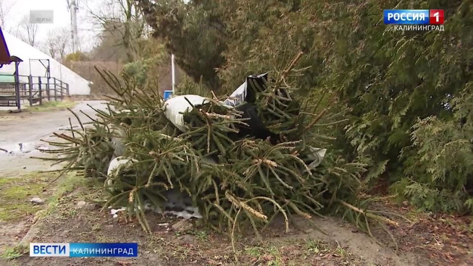 �� 31 ������ �� ���� ��������������� ��������������� ������� ����� �������� ��������, ���� ����� ����� ����� ����� ���, ����� ��� ����� ����� ����������