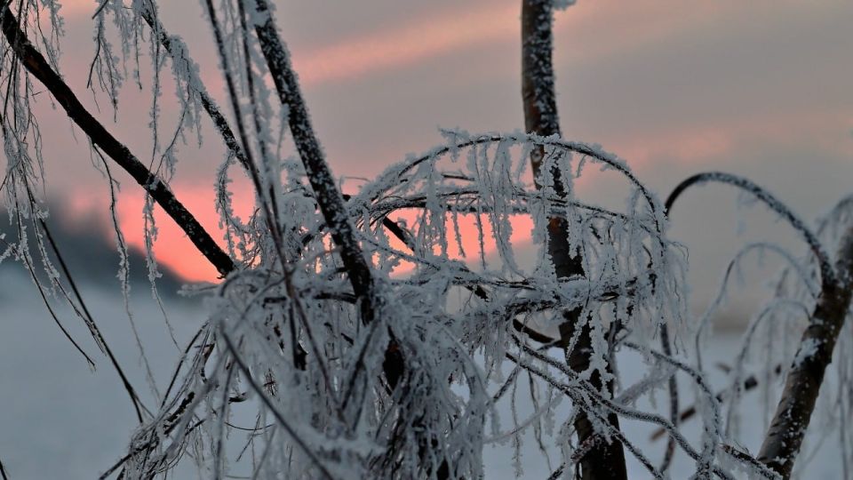 ������� �� ����� ����������� ��� �������� ���������� �� ����