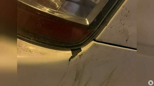 � ������������ �������� ���������� �� ���������, ����������� ������ � ����������