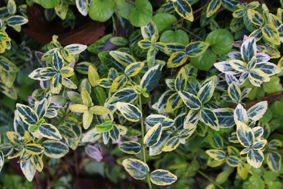 ��������� �������: ������������� ������� ������� ��� ������ ����