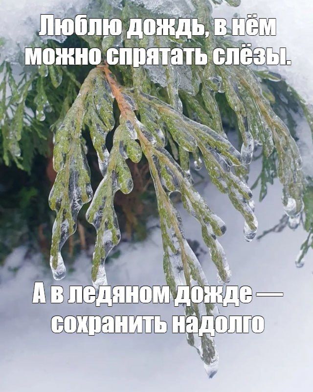 ������ � ������� ������. ������ � ������� ��������� ������� ��������, � �� ������ �������, ������� �����������, �������� ������� � �������������� �����