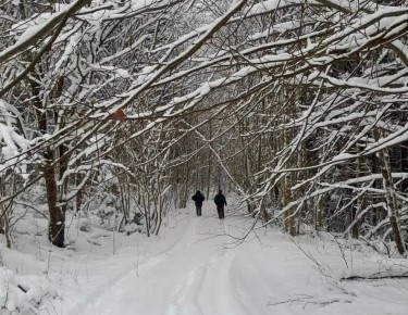 � �������� ������������ ������ ������: �� ��� ������ ����� �������� ��������