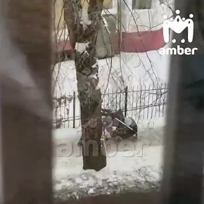 Завтра в Калининграде будет ледяной дождь — администрация так переживает, что просит водителей не садиться за руль, а пешеходов — не выходить из дома