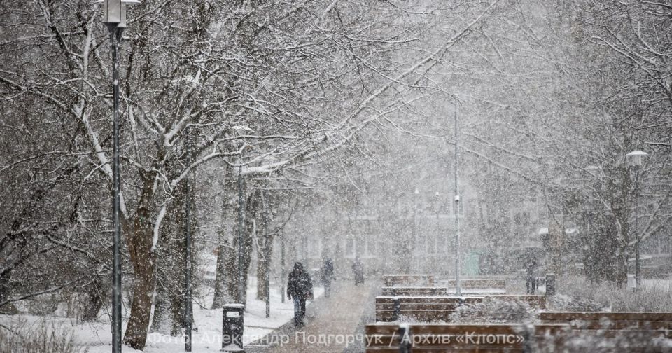 ����� ���� �������� � ����� ����: ������� ������ � ������������ � ������� �� 14 ������