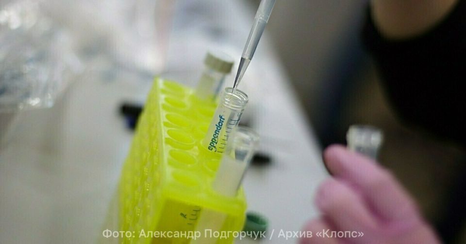 �������� � ������������ ����� ��� �������� �������� �������: ������ ������� ����� �������