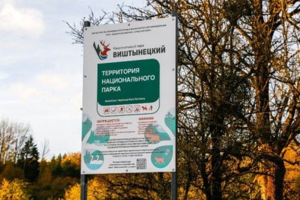 � ������ � ����������� �������� �������� ���������� �����������