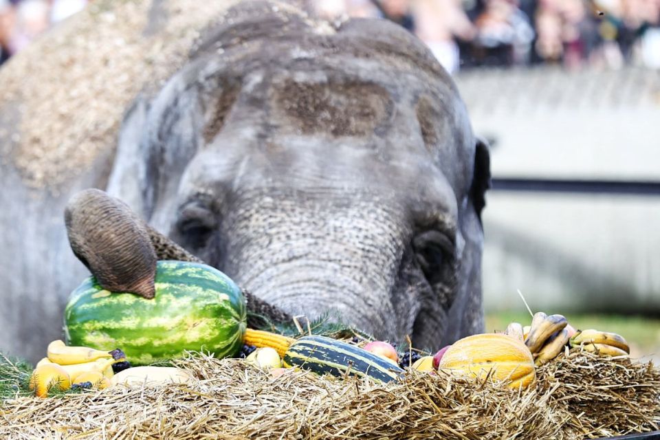 �������� ���������������� �������� �������� ���� ���������� �������� ������� �������