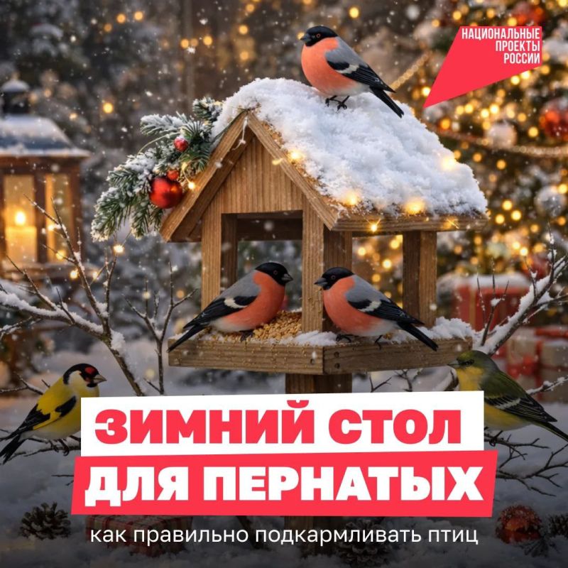 ��� ����� ������� ���-������� ��� ������� �������