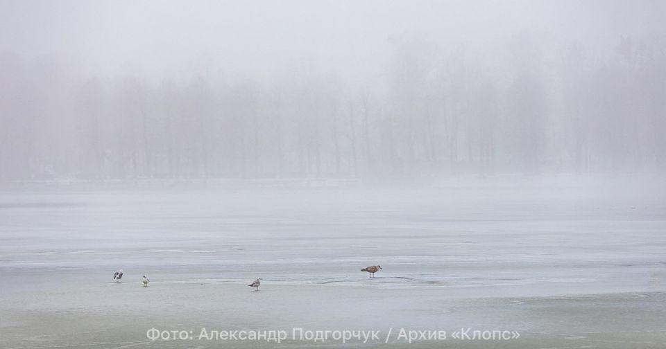 ��������� ���������: �� ��������������� ������� � ��������� ��� ���� ��������� ������ �����