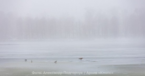 ��������� ���������: �� ��������������� ������� � ��������� ��� ���� ��������� ������ �����