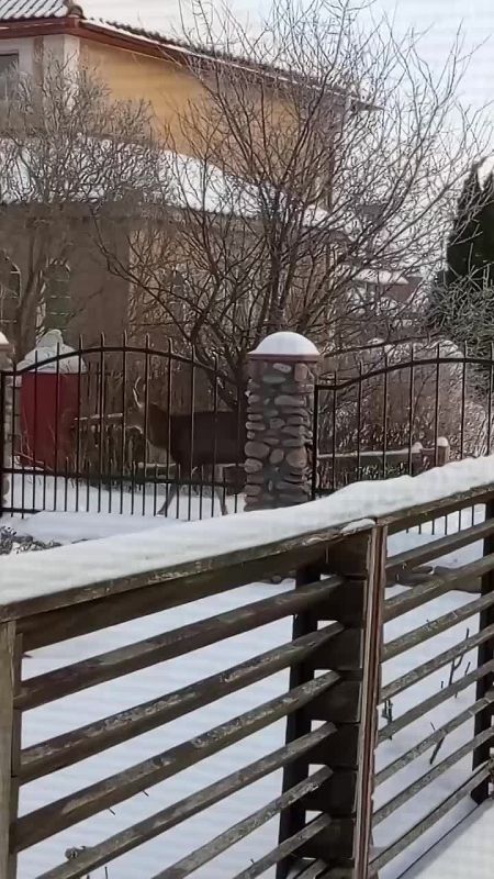 ����� �������� ������ �� ������