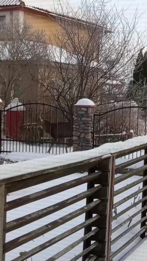 ����� �������� ������ �� ������