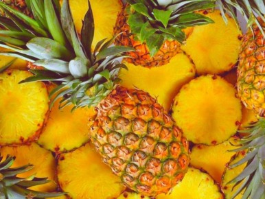 ��������� ������� ������ � ��������: �� �������� �� ��������