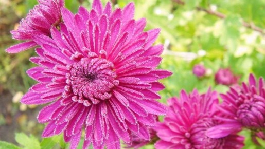 ��� ������� ����� ���� ���� ����� ������� ����� ���������