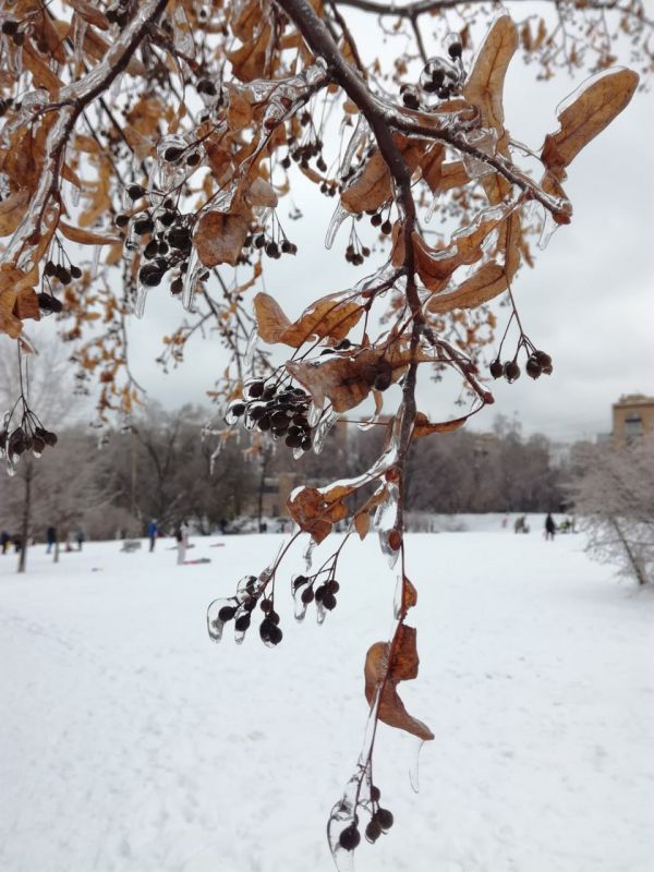 ������ ����, ������!. ������� ���� � ������������ � �� ������ ������� ��������� �� 2�5�C