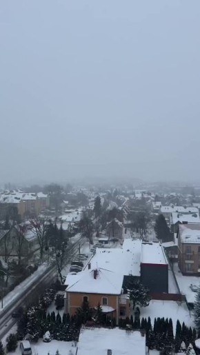 �������� ��������� �� ������������