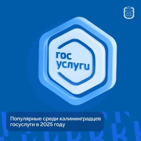 � ������� ���� ������ ������� ������ ������ 270 000 ��������� ����� ���������