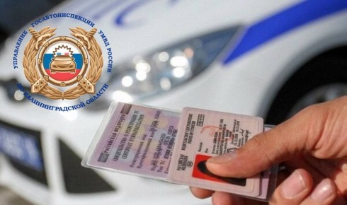 ���������������� ��������������� ������� ����������, ��� �������� ������������ ���������������� �������� � ����������� ����, ��������� ����������� �� ����������� ����� ��������� �� ������ �� �������� � ������ ����������...