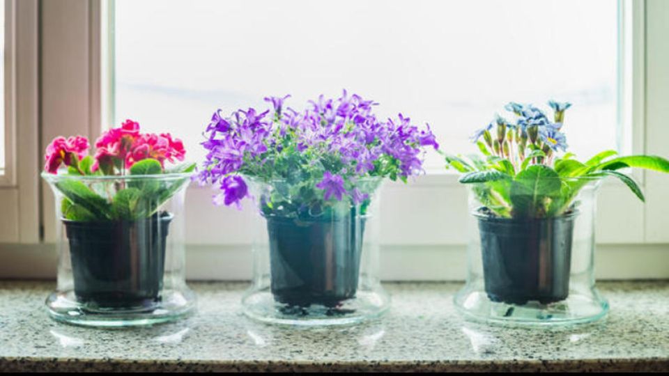 ����� ������ �� �������� �� ����� ������� �������: ��������� � ������ ��� ���