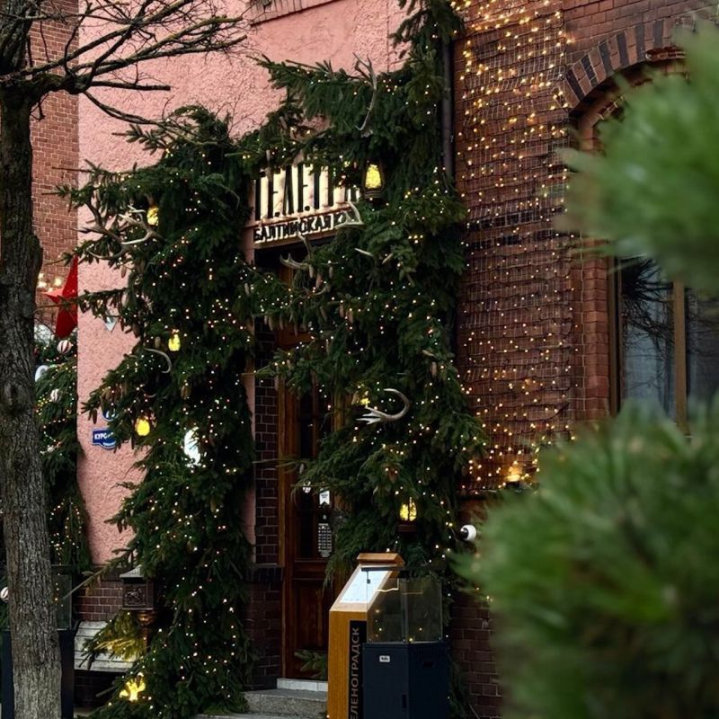 � ������������� ������������ ������� �� ������ ���������� ����������