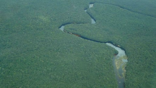 �������� ��������, ����� ������� � ������� �� ������: ������������� ���������� � ����������� � ���������