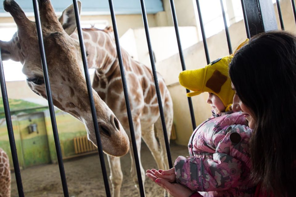 � �������� ������� ������ �������� ������ � ���������