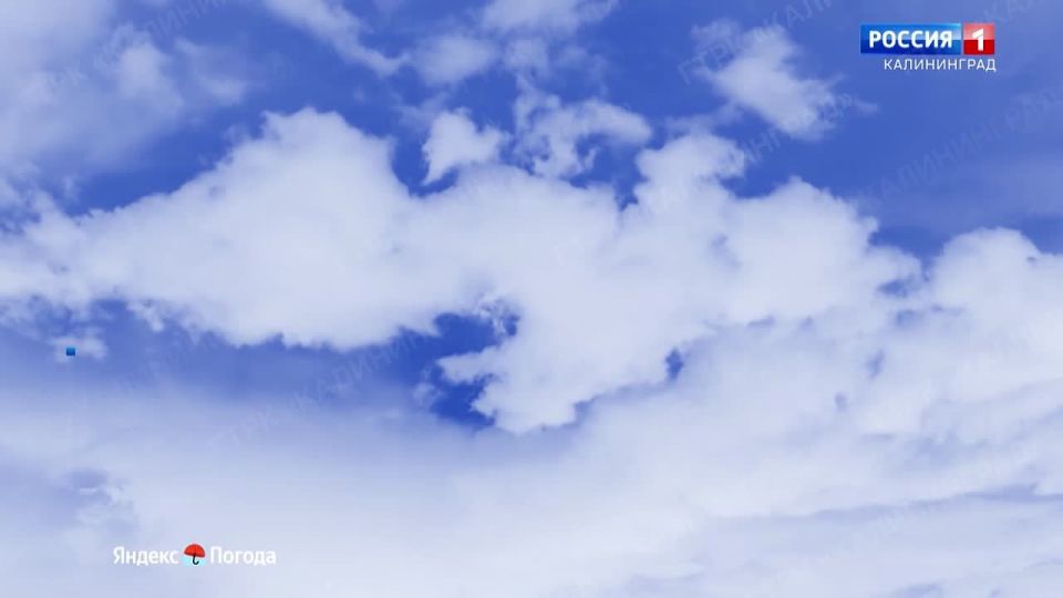 ������ �� 14 ������