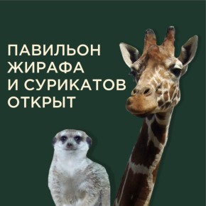 � �������� ����������� �������� ������ � ���������