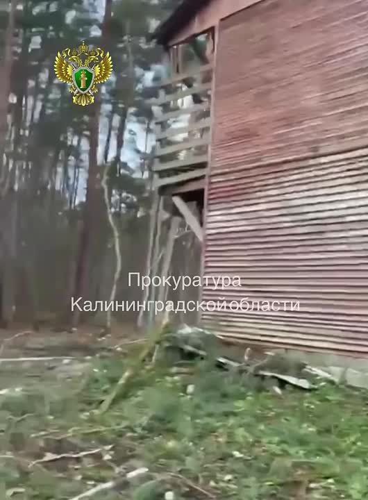 Прокуратура признала законным возбуждение уголовного дела в отношении директора национального парка «Куршская коса»