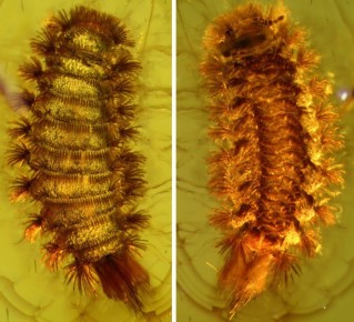 �������, ������� ����� �� ������!