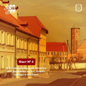 ���������� ������������ �� ���������� ������ � ��������������� ������� � 80-����� �������