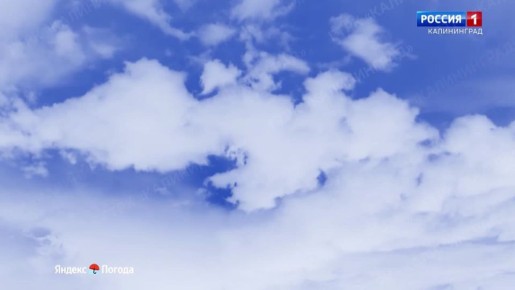 ������ �� 15 ������