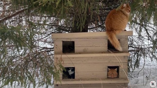 ������������� ��������� ����� ����� ��� �������� �����