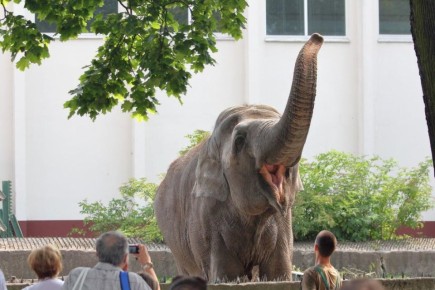 � ������������ ����� ��������� �������� ������� �������