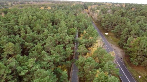 Глава национального парка "Куршская коса" – объекта Всемирного наследия Юнеско в Калининградской области – стал фигурантом уголовного дела