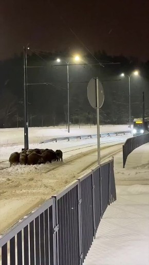 � ���� ������������ ����� �� ��������, ��� ������ ������������� ��������� �������� ������������� ����������