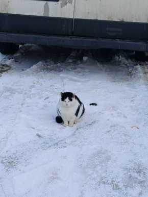 ��� �� �� ���� ������ ������ ���, ��� �� ���� �� ����� ����� ��� ������