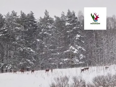 ������� ������ ������� ������������ ����� ��������, � ���� ������ ���� ����� ������