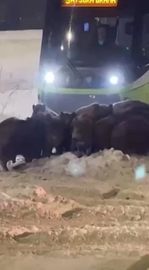 � ������������ �������� ����� ������� ��������� ������ �������