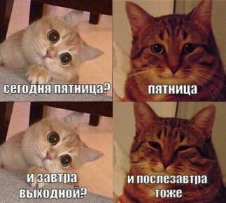 ������� ��������� �� ��������