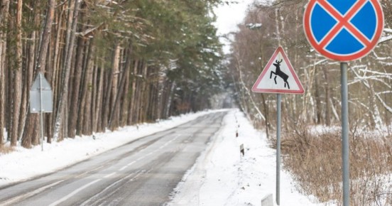 ������ ��� ��� ���� �������: ������ �������� ���� �������������� ����� � �������� � ���� ������ (����)