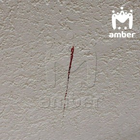 ��������� �� ��������� �������� �������������, �� ��, ��� �� �������� � ����, � ��������