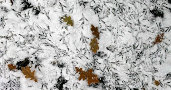 ������ �� -16: ������ � ��������������� ������� �� �����������