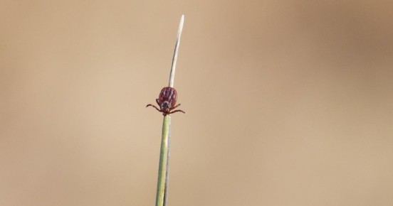 ��������������� ������ ������� ��� � ������������ ����� ����� �������� ����